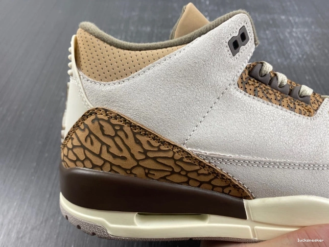 Rep LUCY 3 Air Palomino Jordan CT8532-102 0816